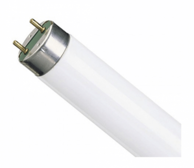 OSRAM L 8w / 765 G5 d16 x 288 330lm (6500K дневной белый)