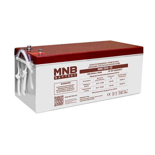 Аккумуляторная батарея MM 250-12 MNB для бесперебойного питания