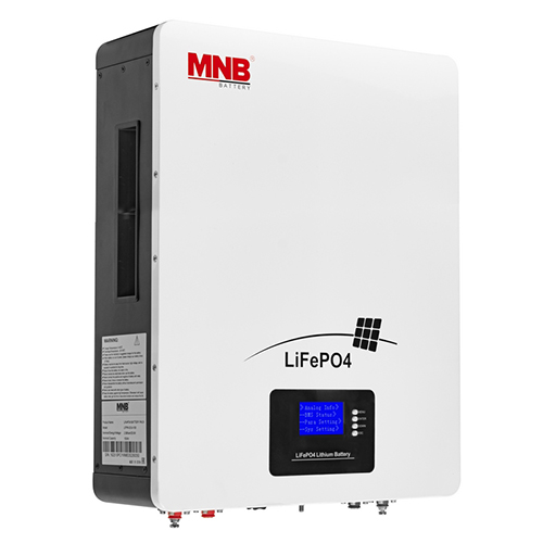 Аккумуляторная батарея LFPW-51,2-100 LCD MNB (lifepo4)