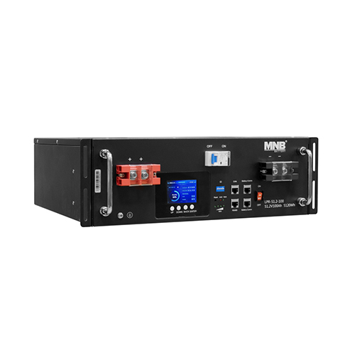 Аккумуляторная батарея LPR-51,2-100 PRO MNB (lifepo4)