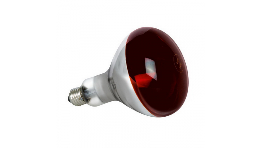 Proton ThermoPro R125 150W 230V E27 красное стекло  (арт. 6665555)